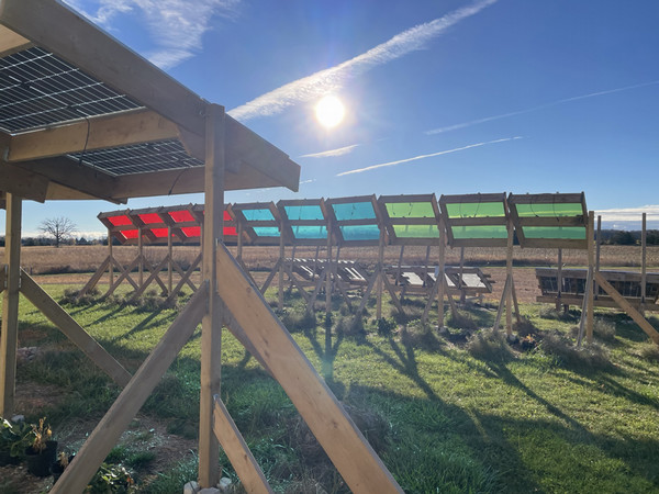 With Joshua Pearce at ICFAR by Adia Shadd 1